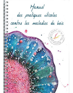 Manuel des pratiques...
