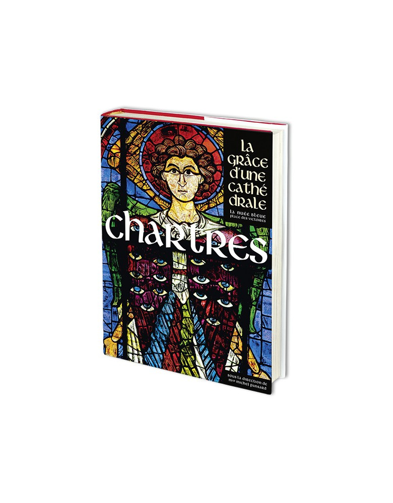 Chartres - La grâce d'une...