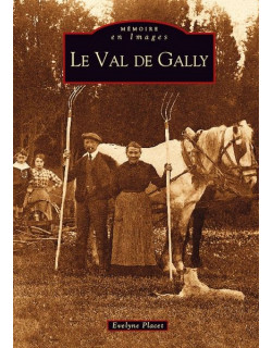 Val de Gally (Le)