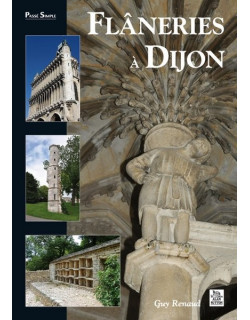 Flâneries à Dijon