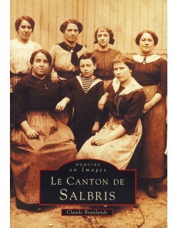 Salbris (Canton de)