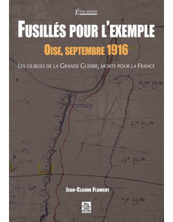 Fusillés pour l’exemple -...