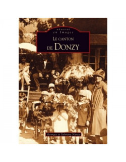 Donzy (Canton de)