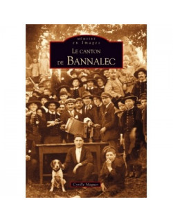 Bannalec (Canton de)