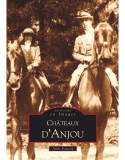 Châteaux d'Anjou