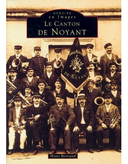 Noyant (Canton de)