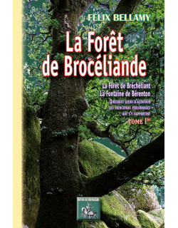 La forêt de Brocéliande -...
