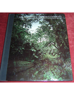 Les forets de l'amérique...