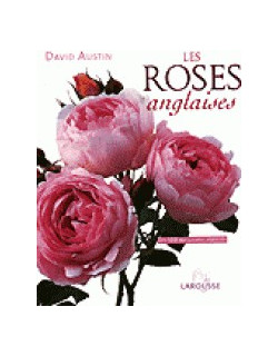 Les roses anglaises