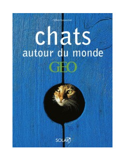 Chats autour du monde