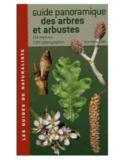 Guide panoramique des...