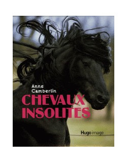 Chevaux insolites