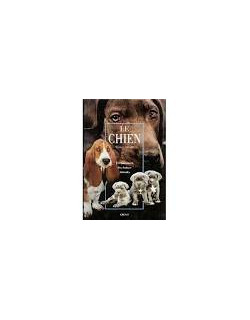 Le chien