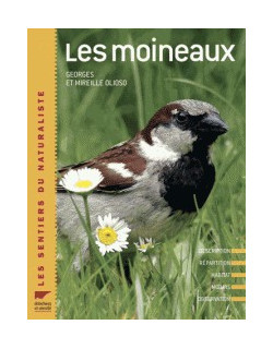 Les moineaux