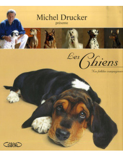 Les chiens - Nos fidèles...