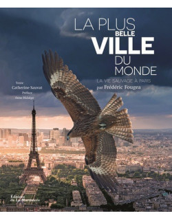 La plus belle ville du...