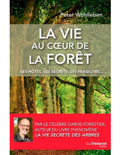 La vie au coeur de la forêt...