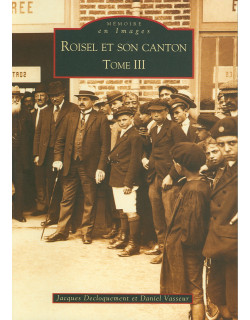 Roisel et son canton - tome 3