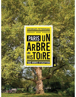 Paris, un arbre une...