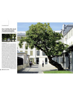 Paris, un arbre une...