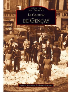 Le canton de Gençay - tome 1