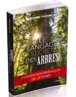 Le langage secret des arbres