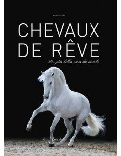 Chevaux de rêve - Les plus...